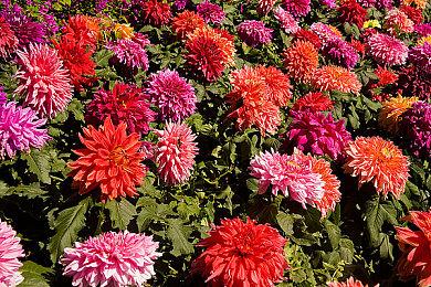 距离《幻想水浒传1&2重制》发售108天 官方开启倒计时